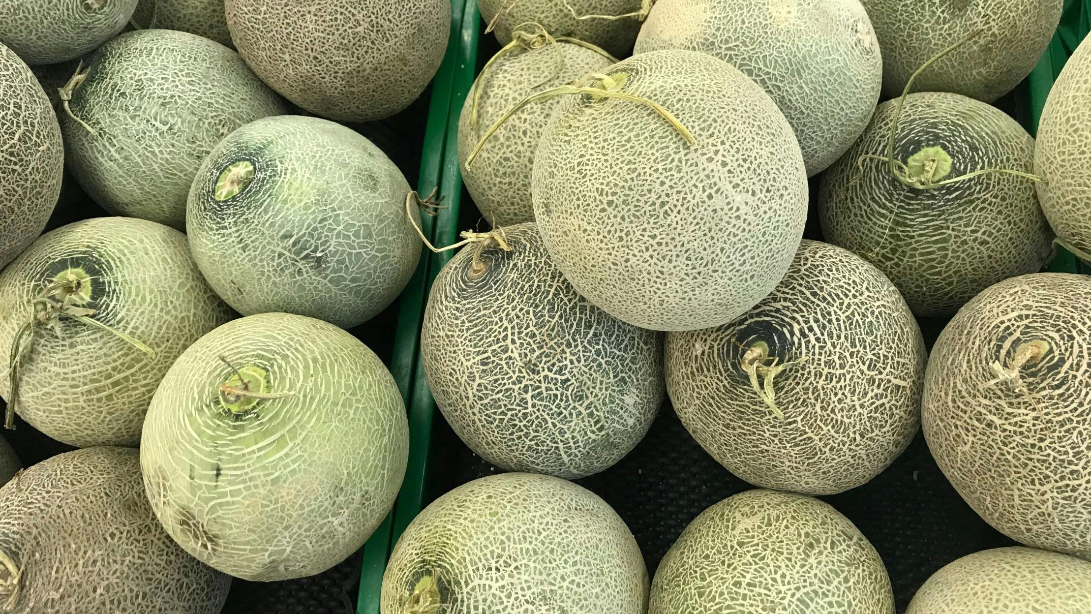 68ed1806eecc0f567d26293c Shutterstock 2529494273