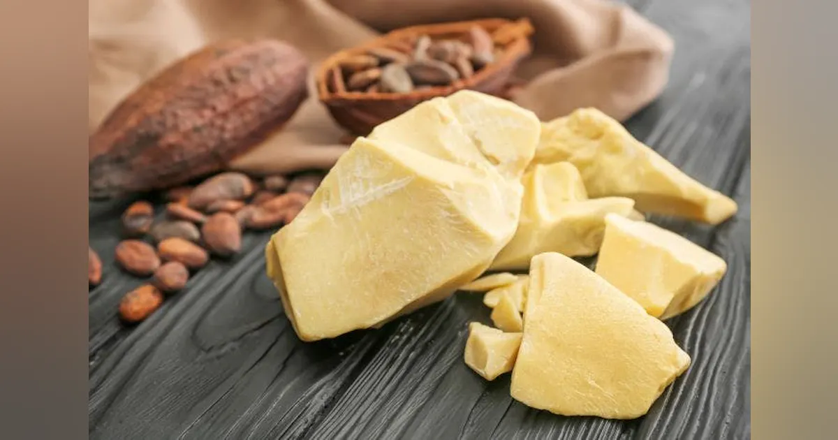Celleste Bio Program Celleste Bio Claims First Cultured Chocolate-Grade Cocoa Butter | Food ...