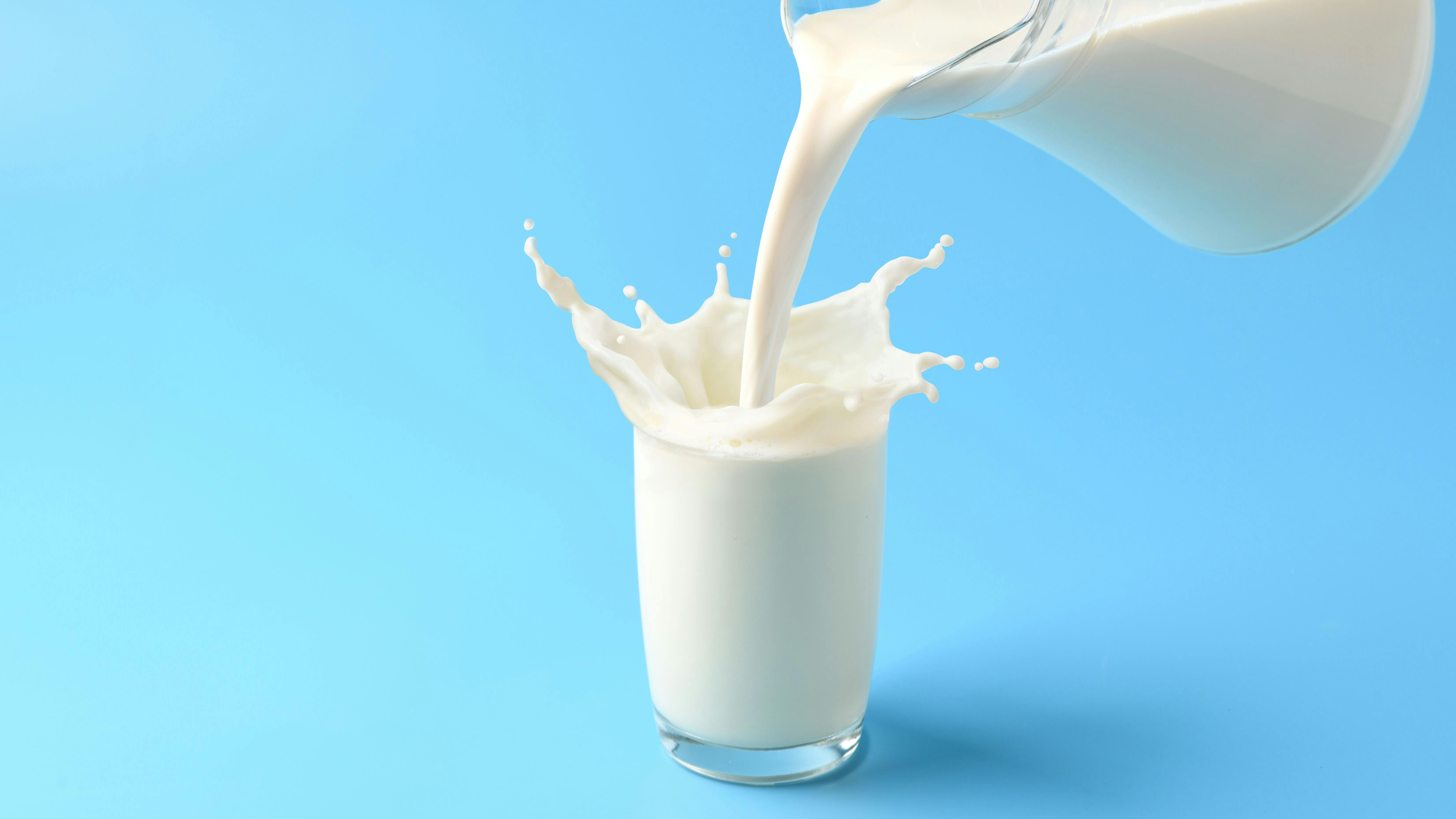 shutterstock_2309221837