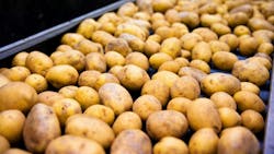 6917862e51726b8f639e2d05 Shutterstock 583323931 6917862e51726b8f639e2d05 Shutterstock 583323931