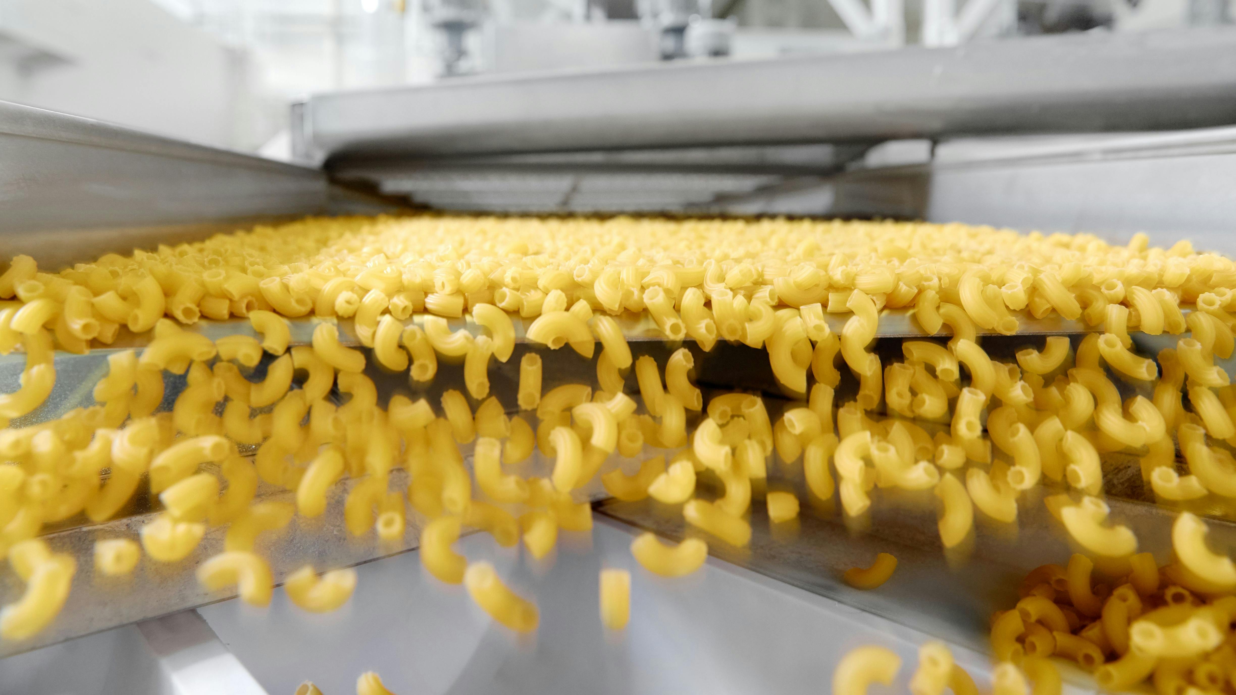 Industrial pasta production conveyor belt, Pasta factory concept.