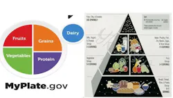 693356ccf569da88808a897b Myplate 693356ccf569da88808a897b Myplate