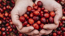 chef_collective_4 chef_collective_4