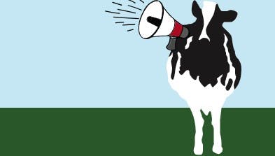 69431afda2d8ab783ac14962 Benjerry