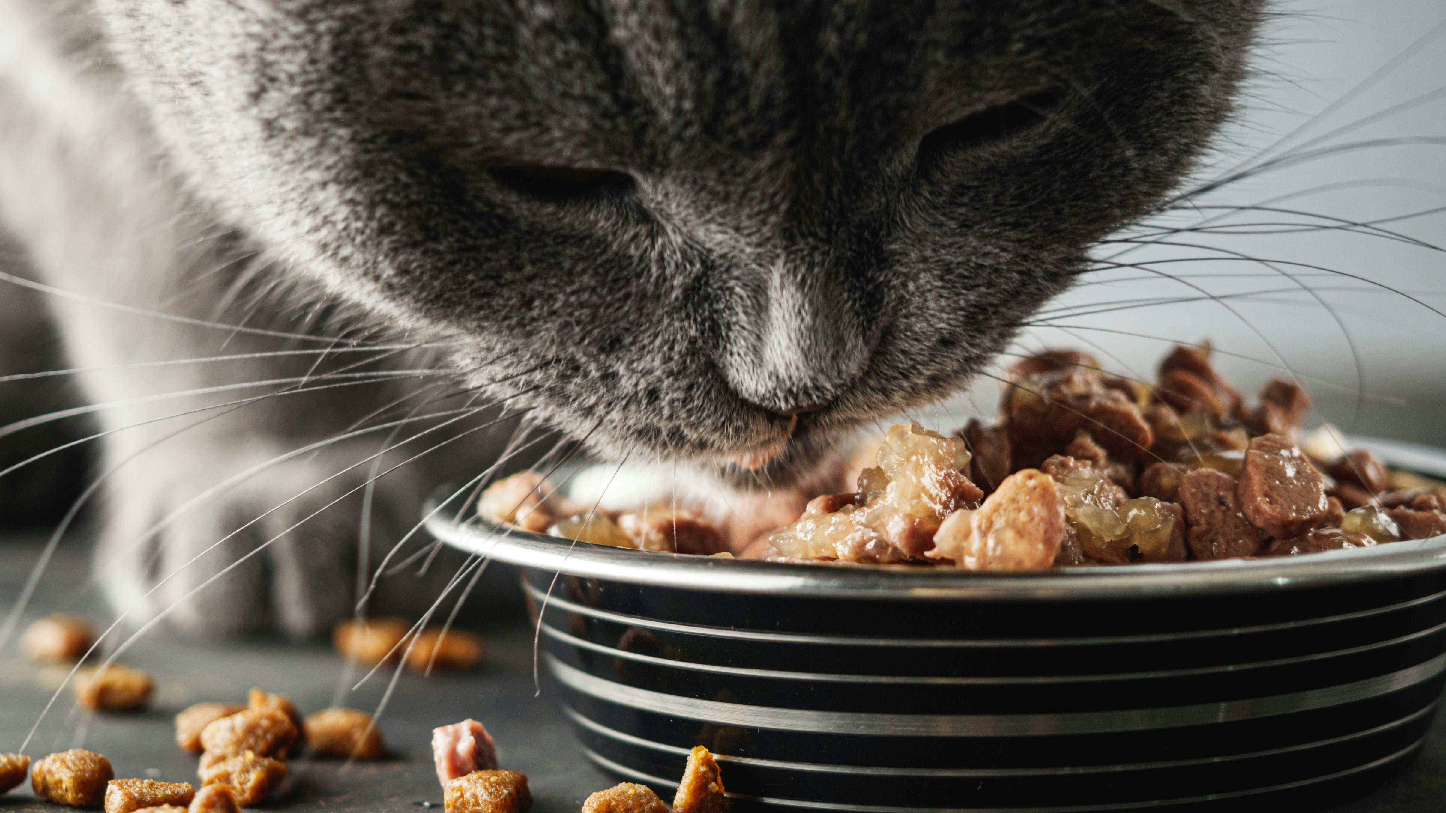 shutterstock_2580575041