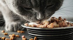 shutterstock_2580575041 shutterstock_2580575041