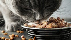 695e9992ae1726a4465e9e25 Shutterstock 2580575041 695e9992ae1726a4465e9e25 Shutterstock 2580575041