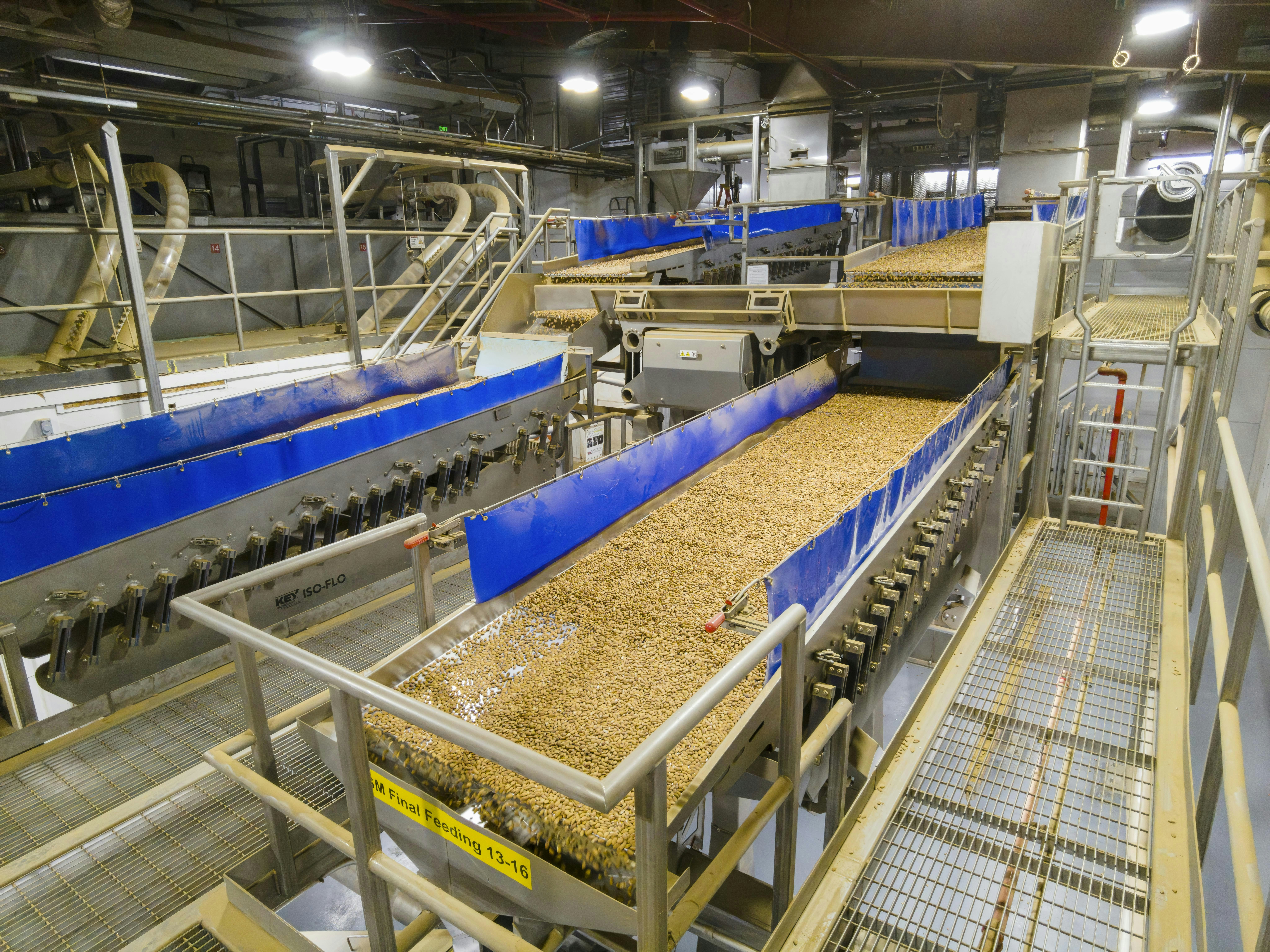 After optical sorting, Blue Diamond almonds are transferred to 12 Key Technology Iso-Flo graders in a split-grade configuration.