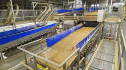 After optical sorting, Blue Diamond almonds are transferred to 12 Key Technology Iso-Flo graders in a split-grade configuration. After optical sorting, Blue Diamond almonds are transferred to 12 Key Technology Iso-Flo graders in a split-grade configuration.