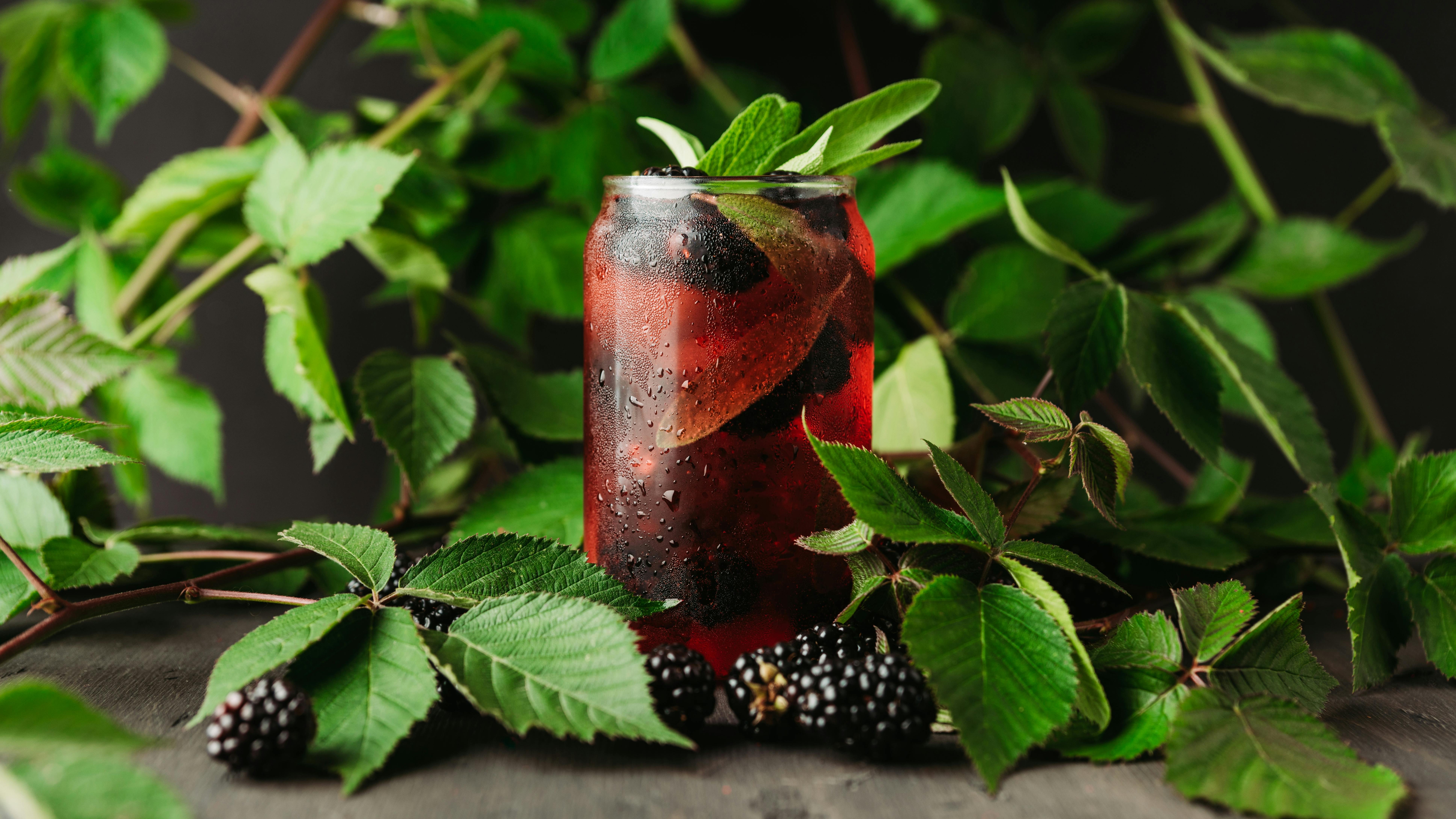 6 Key Trends Shaping the Functional Beverage Evolution in 2026