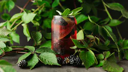 Blackberry sage cocktail with fresh branches on rustic wood Blackberry sage cocktail with fresh branches on rustic wood