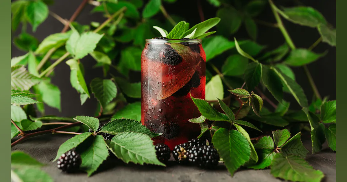 6 Key Trends Shaping the Functional Beverage Evolution in 2026 | Food ...
