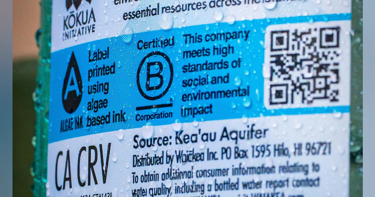 Push Continues for Sustainable Packaging in Food and Beverage | Food ...