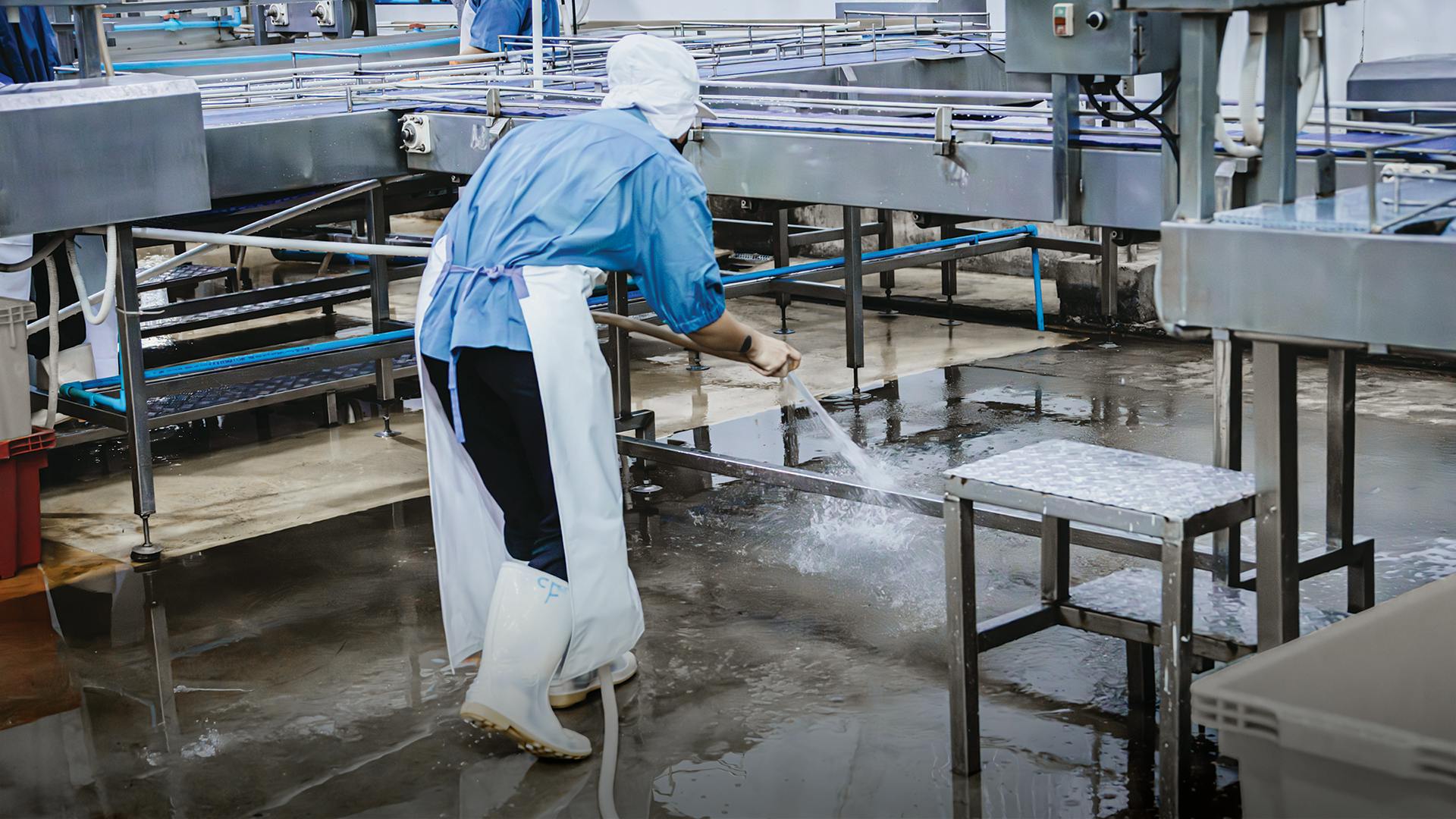 plant worker power spraying production line conveyor belt to sanitize equipment