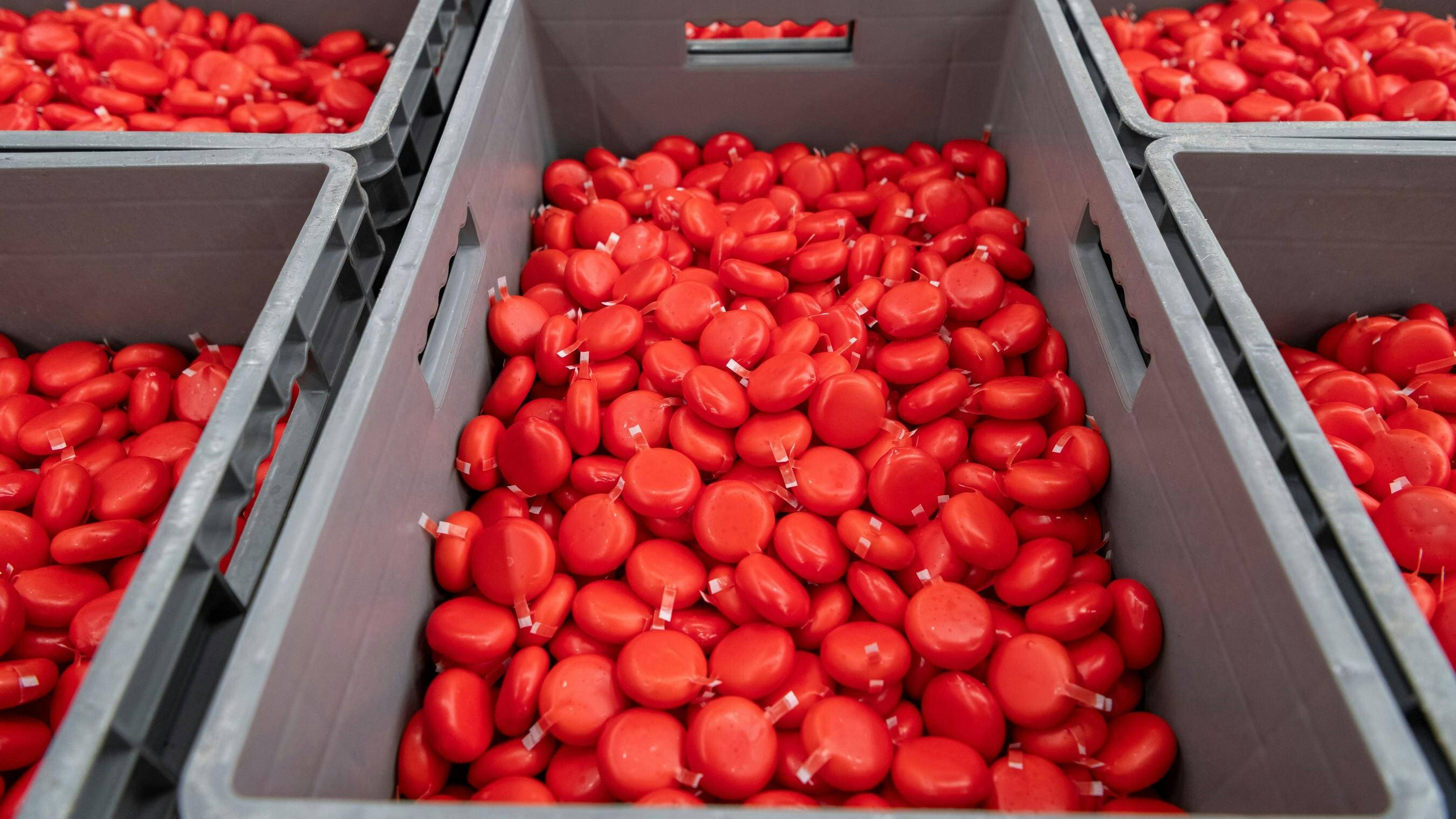 Bel North America Breaks Ground on South Dakota Babybel Plant Expansion ...