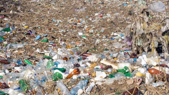 69b2ef211f467c1ae59eef24 Plasticpollutionadobestock 387664507
