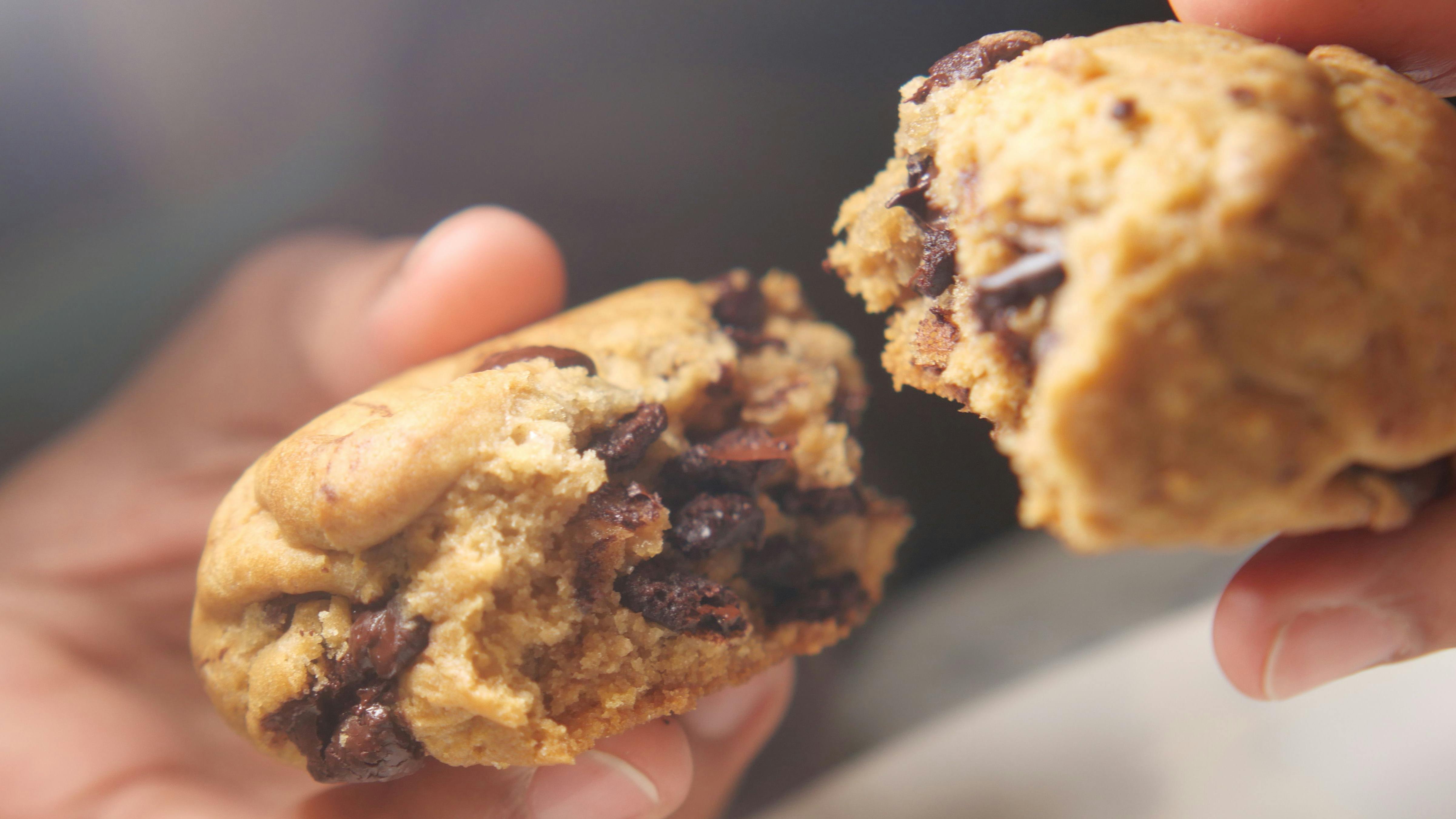 shutterstock_2633527115