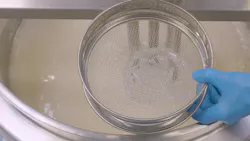 sieve_end_shot