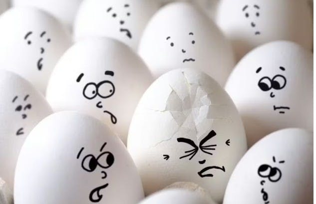 Antitrust Suit Looms Against Major Egg Producers | Food Processing