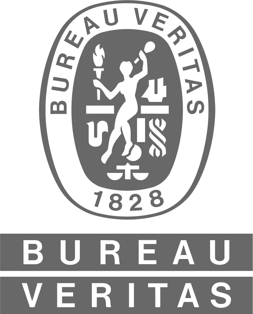 logo_bv_grey2024