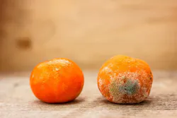 6a0b7186ee3c27e74dfa837e Apeelfreeadobestock 267912027