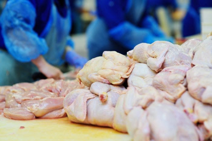 Sunrise Farms Building a Poultry Plant Outside of Toronto