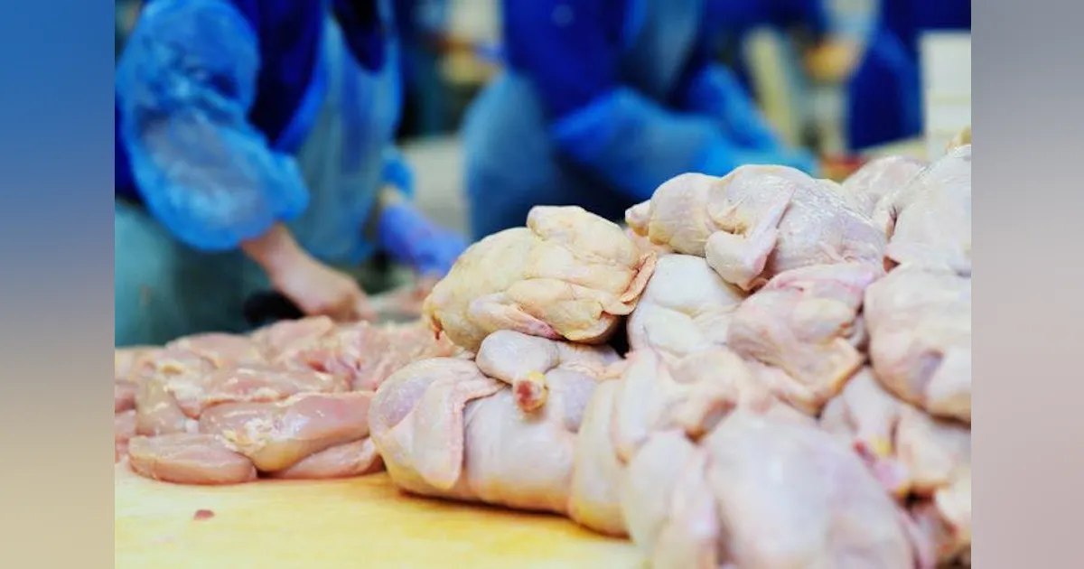 Sunrise Farms Building a Poultry Plant Outside of Toronto