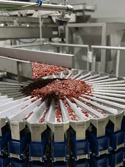 Fruit snack production on the new processing line at SunOpta's Omak, Wash., facility. Fruit snack production on the new processing line at SunOpta's Omak, Wash., facility.