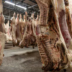Cargill sees significant potential for its proprietary CarVe technology to help reduce risk on the harvest floor of its beef plants in the future.