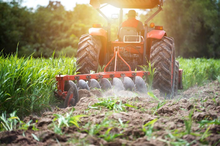 Trump Executive Order Supports Regenerative Agriculture | Food Processing