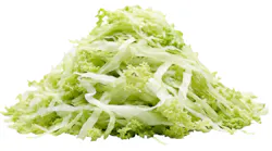 shutterstock_2808276171