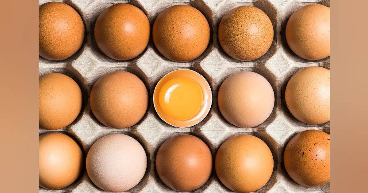 From Record High to Record Low Egg Prices: Cal-Maine Adjusts