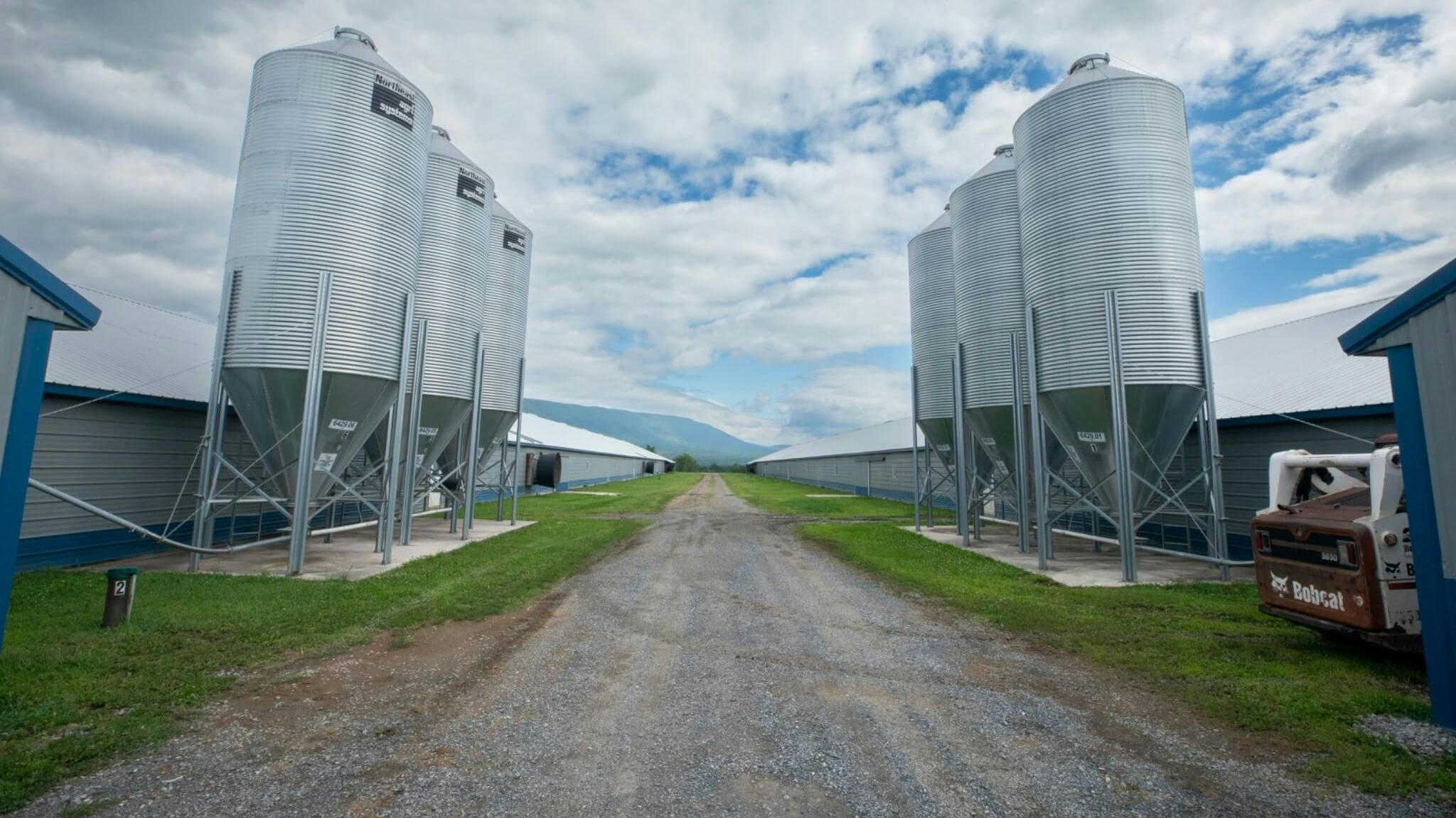 The Wenger Group Acquires Turkey Processor Plainville Farms