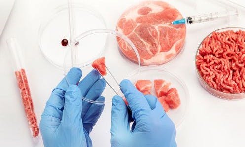 Two Cultured Animal Protein Companies Combine