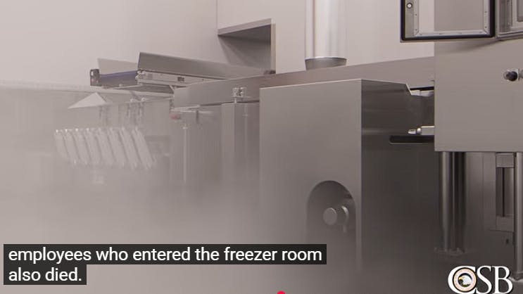 Video Recalls 2021 Poultry Workers Deaths by Liquid Nitrogen