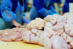 6abeaade2ed1cea3df9b36d9 Chickenprocessingadobestock 279799280