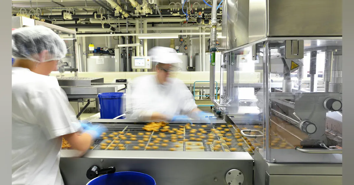 Digitalization Icon Colorful eHandbook: Automation in Food & Beverage Processing | Food Processing